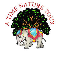 A Time Nature Tour