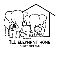 ALL ELEPHANT HOME