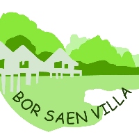 Borsaen villa