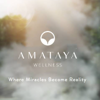 AMATAYA WELLNESS