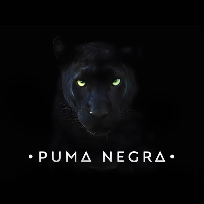Puma Negra