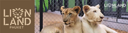 Lion Land Phuket