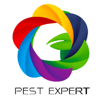 บริการกำจัดปลวก แมลง โดย Pest Experts