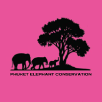 Phuket Elephant Conservation